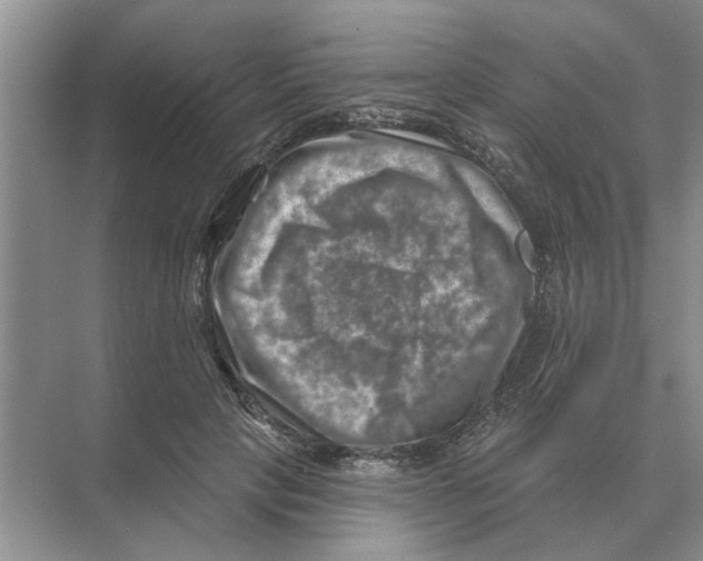 X0000074340649200609230119