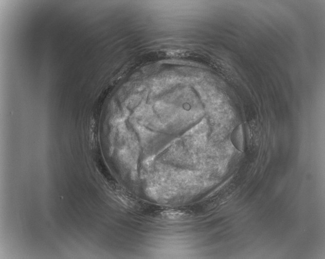 X0000074340650200609230119