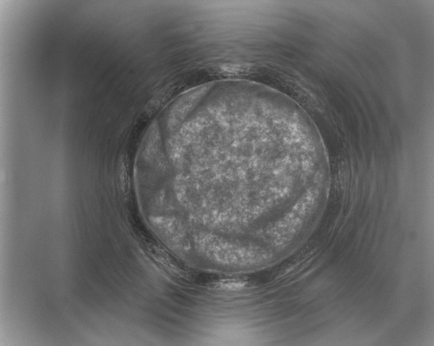 X0000074340651200609230119