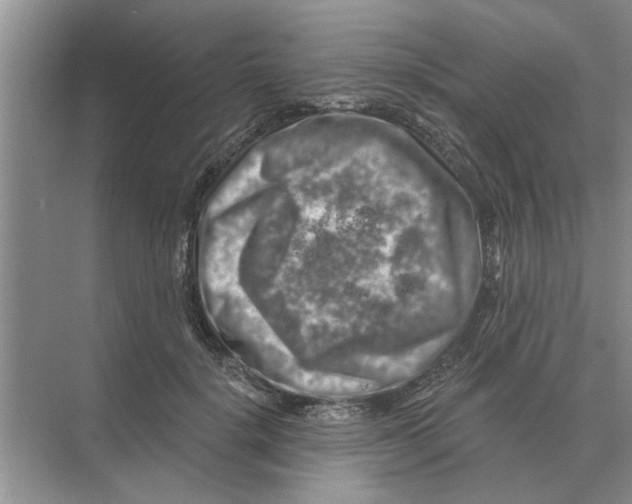 X0000074340652200609230119