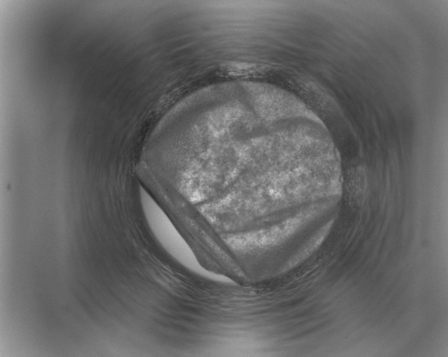 X0000074340653200609230119