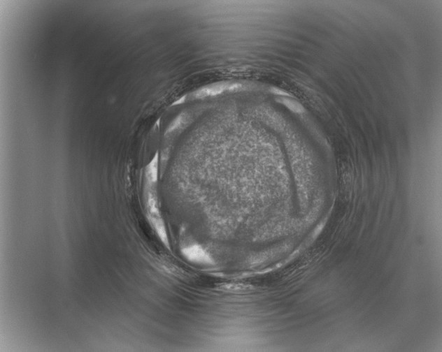 X0000074340654200609230119