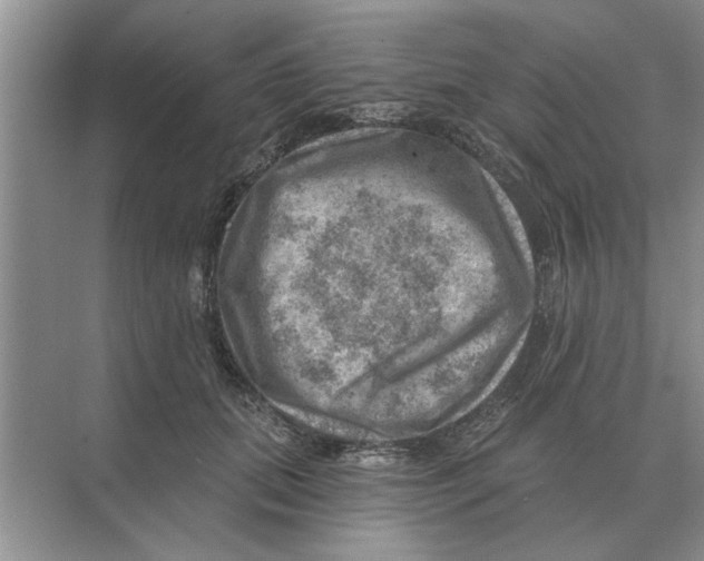 X0000074340655200609230119