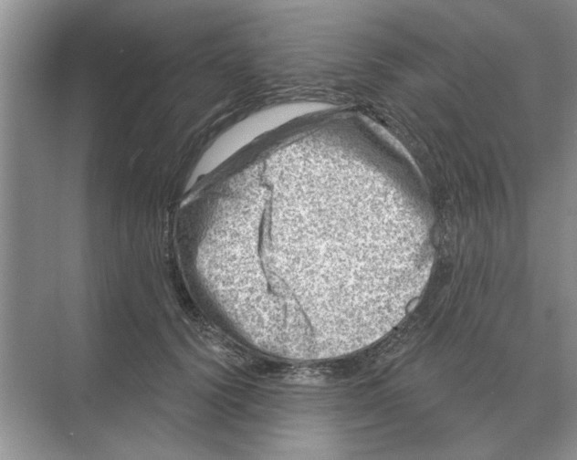 X0000074340656200609230119