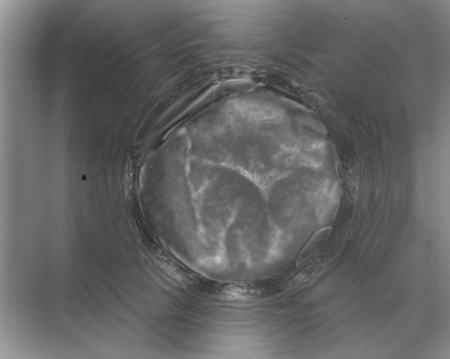 X0000074340657200609230119