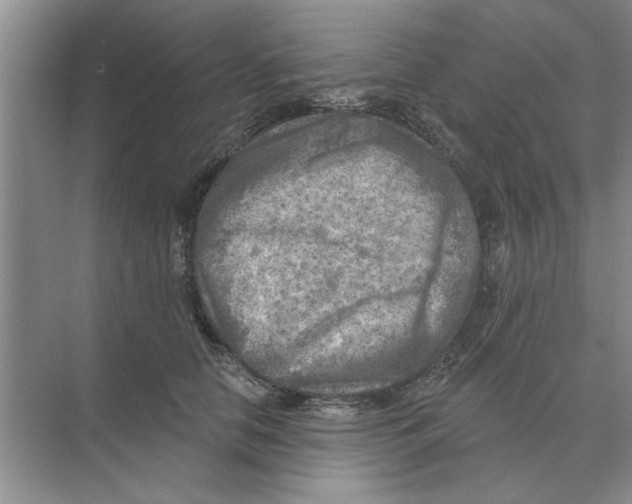 X0000074340658200609230119