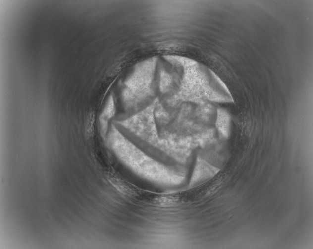 X0000074340660200609230119