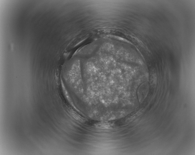 X0000074340661200609230119