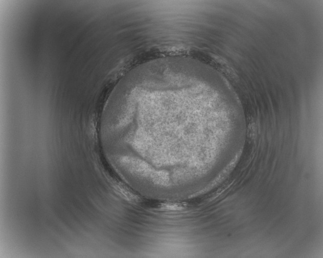 X0000074340662200609230119