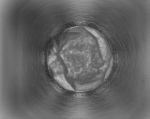 X0000074340664200609230119