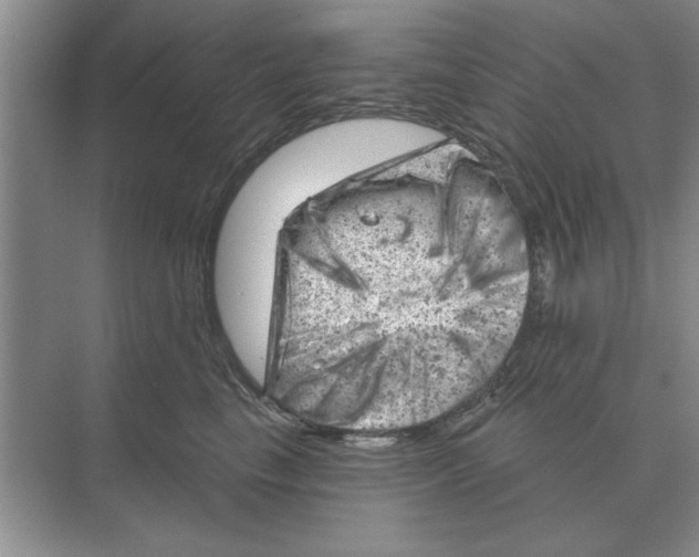 X0000074340665200609230119