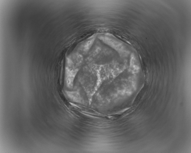 X0000074340666200609230119