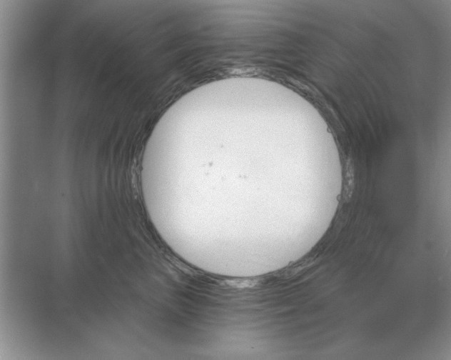 X0000074340667200609230119