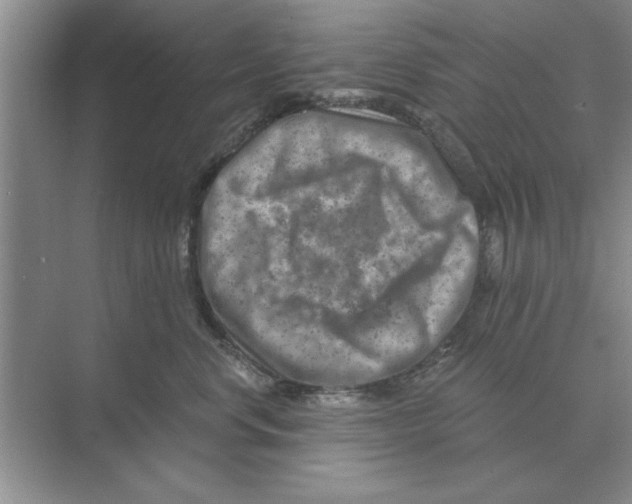 X0000074340668200609230119