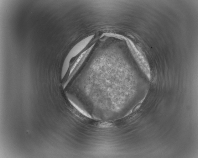 X0000074340669200609230119