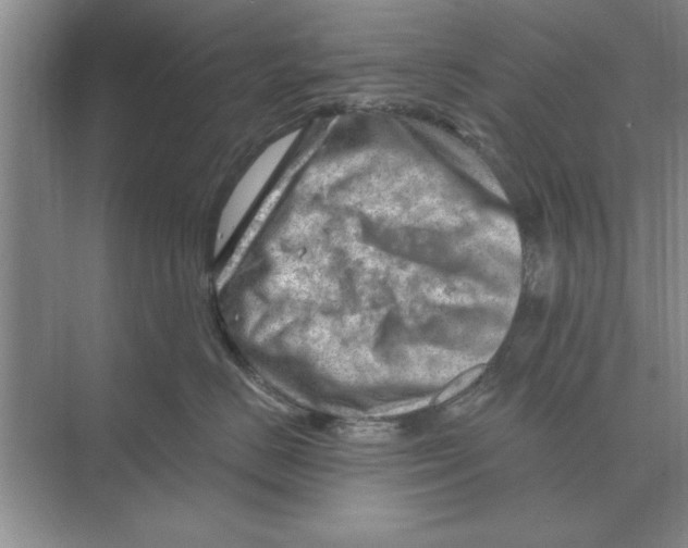 X0000074340670200609230119