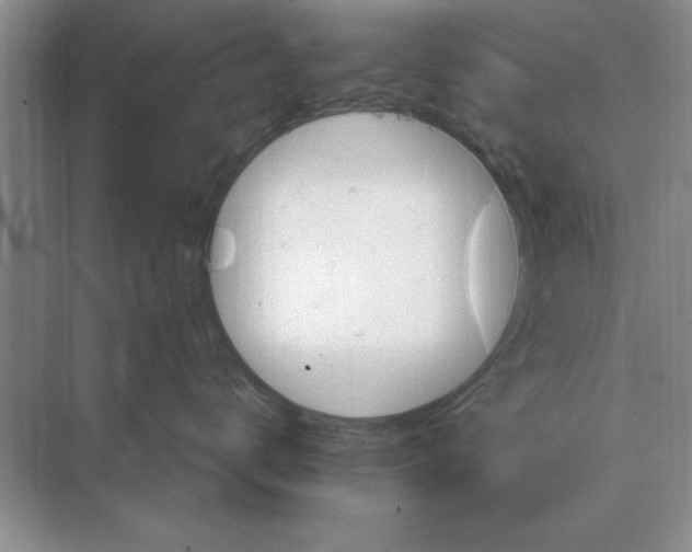 X0000074340672200609230119