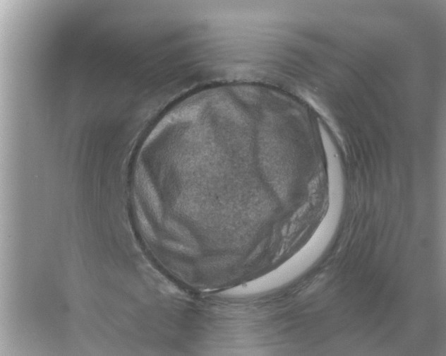 X0000074340673200609230119