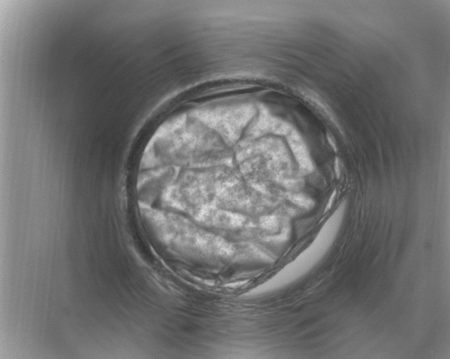 X0000074340676200609230119