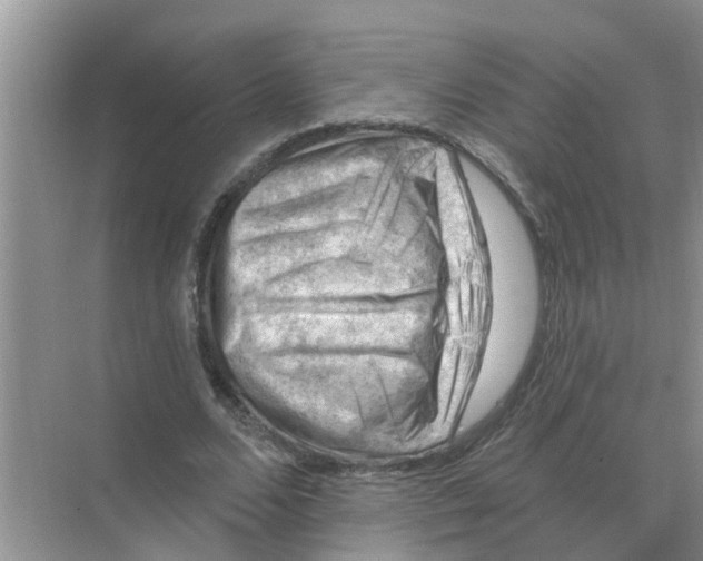 X0000074340680200609230119