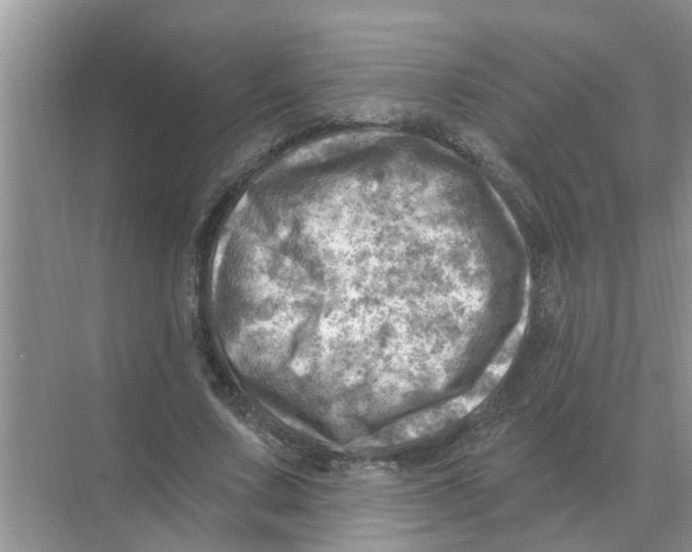 X0000074340683200609230119