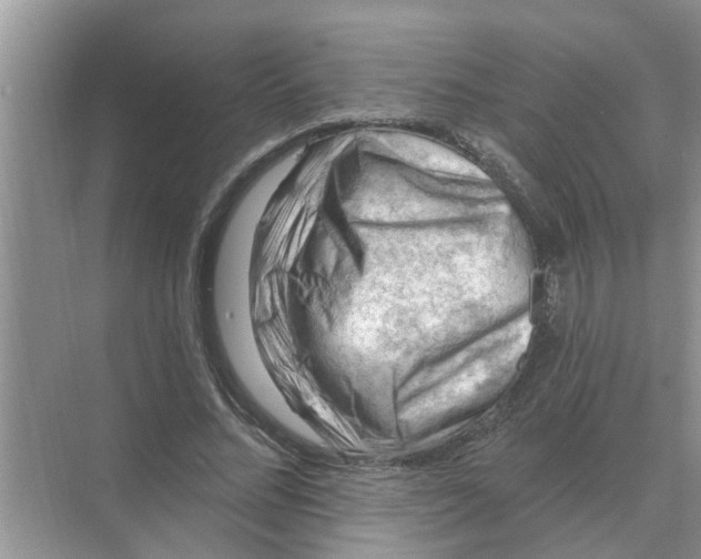 X0000074340684200609230118