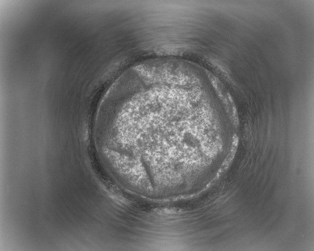 X0000074340687200609230118