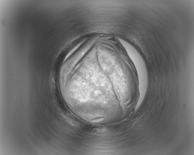 X0000074340688200609230118