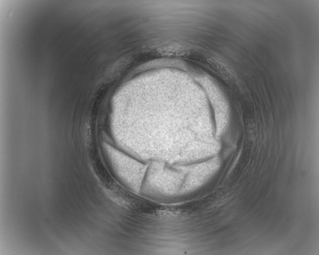 X0000074340690200609230118