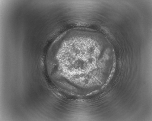 X0000074340691200609230118