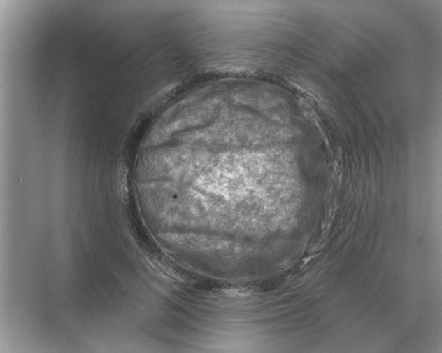 X0000074340692200609230118