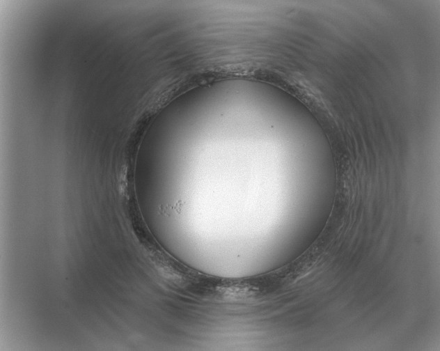 X0000074340693200609230118