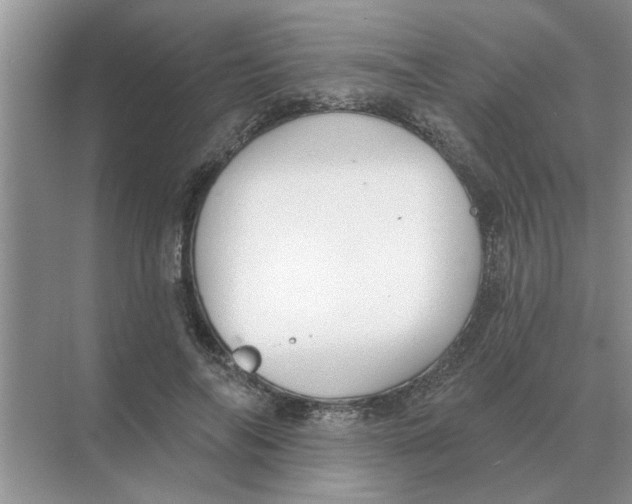 X0000074340694200609230118