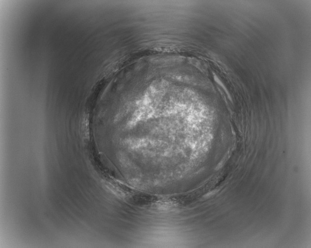 X0000074340696200609230118