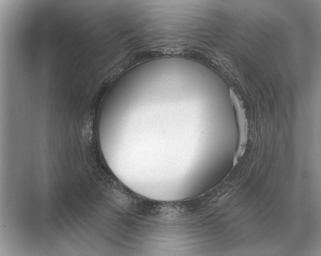 X0000074340697200609230118