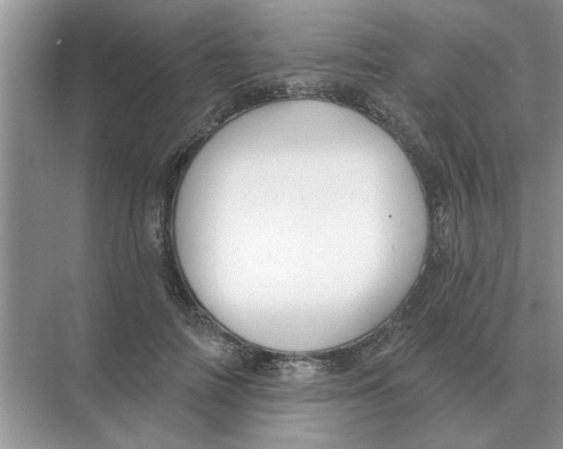 X0000074340698200609230118