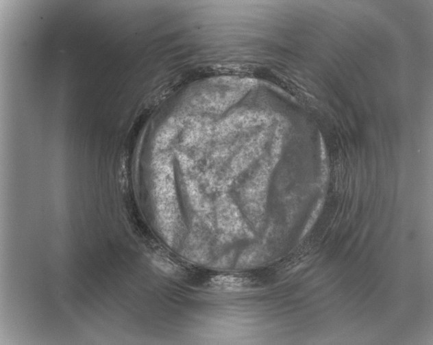 X0000074340699200609230118