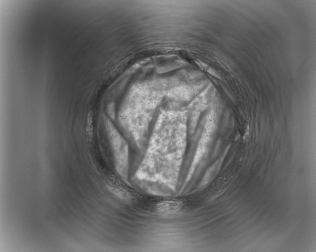 X0000074340700200609230118