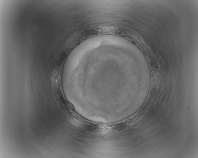 X0000074340701200609230118