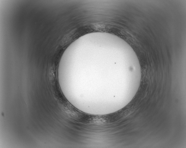 X0000074340702200609230118