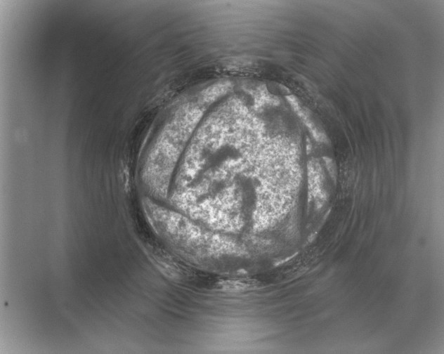 X0000074340703200609230118