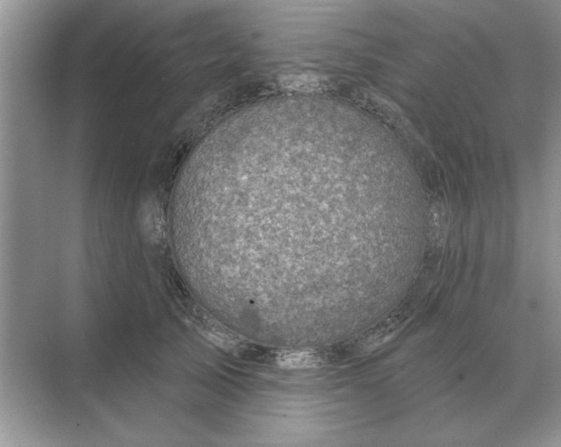 X0000074340705200609230118