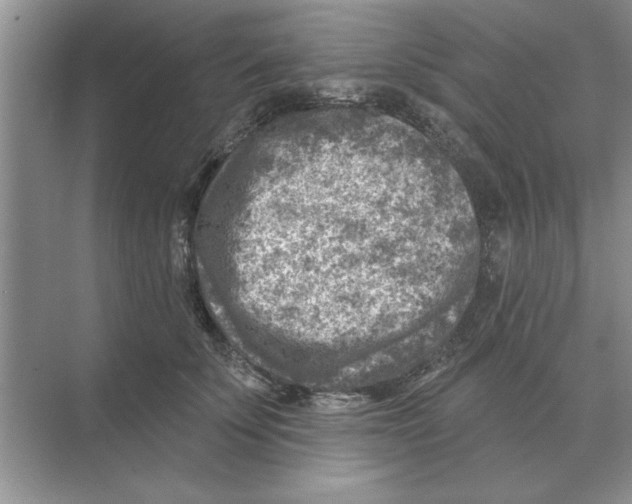 X0000074340707200609230118