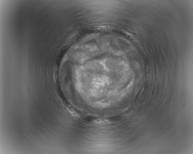 X0000074340712200609230118