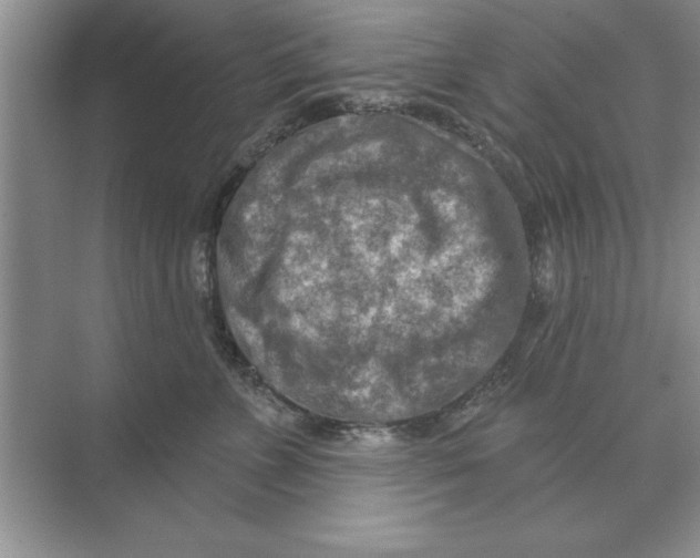 X0000074340715200609230118