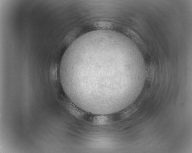 X0000074340717200609230118