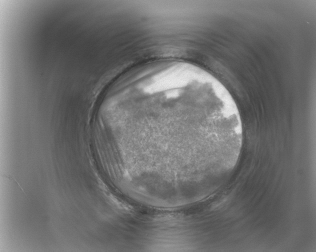 X0000074340721200609230117