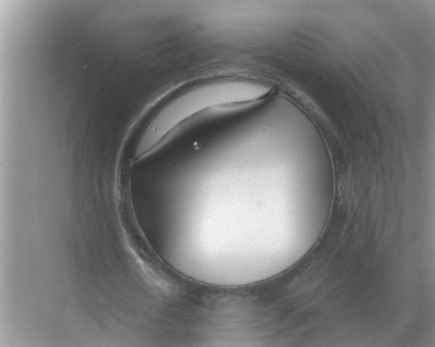 X0000074340722200609230117