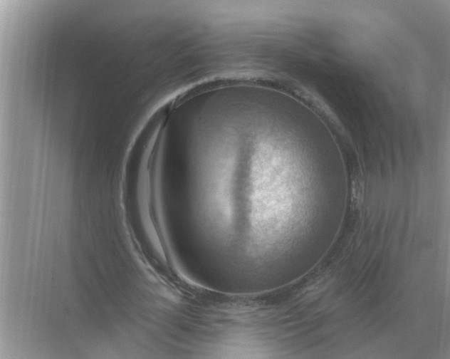 X0000074340724200609230117