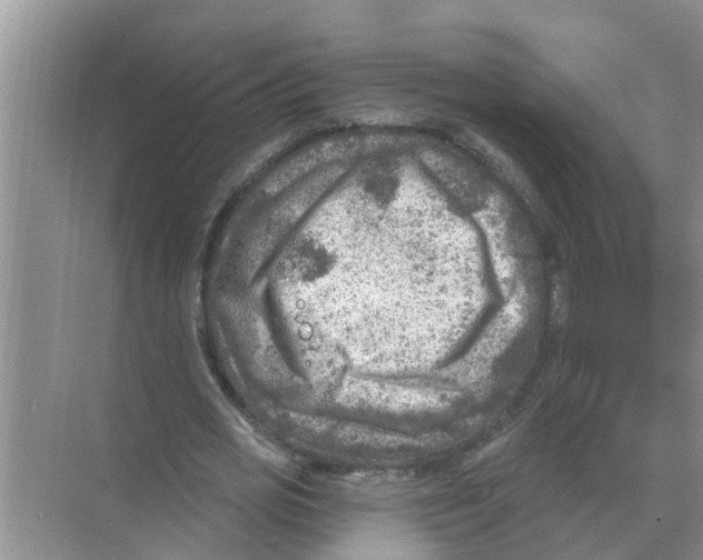 X0000074340725200609230117